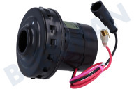 Numatic 910622  Motor de succión adecuado para entre otros 244NX