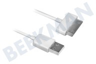 Ewent EW9903 Cargador y cable de sincronización para APPLE adecuado para entre otros Apple de 30 pines Conector Dock