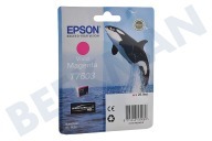 Epson C13T76034010  Cartucho de tinta adecuado para entre otros Claro Color de SC-PC600 T7603 Magenta Vívido adecuado para entre otros Claro Color de SC-PC600