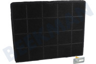 AEG 9029865731 ECFB01ST Campana extractora Filtro de carbón Odourclean adecuado para entre otros DIE5960HB
