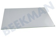 Ikea  3561630017 Cristal de la puerta Interior adecuado para entre otros BP801271SM, EEC5700AOX