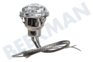 Lámpara adecuado para entre otros EMC38905, ZNF31X Lámpara halógena. Completo con soporte