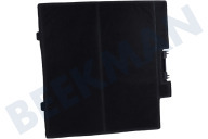 Junker 17006795 Filtro adecuado para entre otros Z51DX, LZ10DX, IE0DX0 Campana extractora Filtro de carbón adecuado para entre otros Z51DX, LZ10DX, IE0DX0