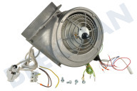 Solitaire 496237, 00496237 Campana extractora motor adecuado para entre otros DKE185T, LC67251