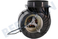 Neff Campana extractora 11022541 capó del motor adecuado para entre otros DWA097A5004, LF97GA53203