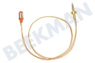 Junker 617911, 00617911 Placa Cable termo adecuado para entre otros PBP0C2Y80N, EB6B5HB60 500 mm adecuado para entre otros PBP0C2Y80N, EB6B5HB60