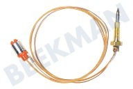 Constructa 416742, 00416742  Cable termo adecuado para entre otros EP816QB21E, PCH615DEU 550 mm adecuado para entre otros EP816QB21E, PCH615DEU