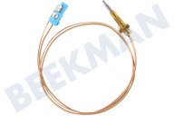 Constructa 00416742  Cable termo adecuado para entre otros EP816QB21E, PCH615DEU 550 mm adecuado para entre otros EP816QB21E, PCH615DEU