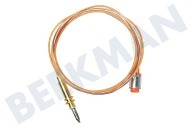 12012623 Cable termo adecuado para entre otros PCH6A5M901, PCP6AM90R, PCR9A5M90 850 mm