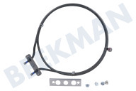 Resistencia adecuado para entre otros HS658GXS1, HSG856XS6 Aire caliente, 2300 vatios