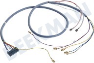 Neff 94321, 00094321 Campana extractora Conjunto de cables adecuado para entre otros LI38030, DHI665G01 De campana extractora adecuado para entre otros LI38030, DHI665G01
