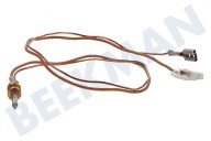 Atag 272705 Cocina Cable termo adecuado para entre otros HG9611MEA1G, HG6292CA1H Doble, 400 mm adecuado para entre otros HG9611MEA1G, HG6292CA1H