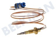 Atag 36071 Cocina Cable termo adecuado para entre otros PF6120, PK460, EFG609 Longitud 500 mm adecuado para entre otros PF6120, PK460, EFG609