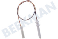 Pelgrim 346196  Bujía Con Cable adecuado para entre otros HG7792BA1E, GK678MATA1E