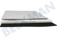 DeLonghi 5537000900 Filtro adecuado para entre otros DAP700E Tratamiento de aire Filtro hepa + carbón adecuado para entre otros DAP700E