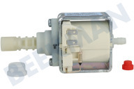 Ariete 5113270570  Bomba adecuado para entre otros Lattissima One Evo F121BK, Gran Lattissima EN650.B 230 voltios, 50 Hz, 56 vatios adecuado para entre otros Lattissima One Evo F121BK, Gran Lattissima EN650.B