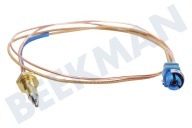 Blomberg 230100033 Placa Cable termo adecuado para entre otros FSG62010DWNL, HTZG64110SWNL, FSG52020DWNL 520 mm adecuado para entre otros FSG62010DWNL, HTZG64110SWNL, FSG52020DWNL