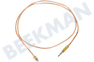 Beko 230311005  Par termoeléctrico adecuado para entre otros CG51000D, G60LTC