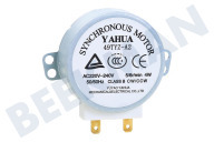 Gorenje 104213 Horno-Microondas Motor adecuado para entre otros MO200DGE, MO200MW, MO170DGE de tocadiscos 4 vatios adecuado para entre otros MO200DGE, MO200MW, MO170DGE