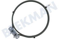 Hotpoint C00857687  Elemento de calefacción adecuado para entre otros IFW5330IXA, IFW3844PIXAUS, FA4S842JIXHA