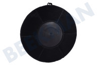Hotpoint C00861507 Campana extractora Filtro de carbón Mod.48 adecuado para entre otros HSLMO65FLSK