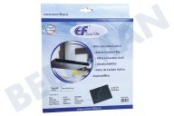Eurofilter 484000008571  Filtro adecuado para entre otros DKF 43 (filtro D020) Carbono 220x180x20mm adecuado para entre otros DKF 43 (filtro D020)