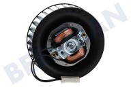 Whirlpool 481236178029 El motor del ventilador con ventilador adecuado para entre otros JT356, JT369BL