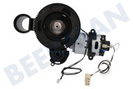 Amoladora adecuado para entre otros HD8752/43, HD8752/83 Motor de amoladora