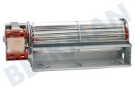 Smeg 695210535  Refrigeración por ventilador adecuado para entre otros SCB60MFX6, SCA110B, SF485X