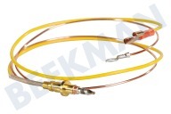 Smeg 948650108 Cocina Cable termo adecuado para entre otros PNL64, SV564X 600 mm adecuado para entre otros PNL64, SV564X