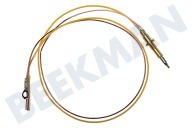 Cable termo adecuado para entre otros SRV596X, SRV575X 500 mm de largo