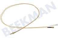 Smeg 948650114  Cable termo adecuado para entre otros General 900mm 2 hilos amarillo/cobre adecuado para entre otros General