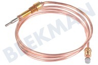 Cable termo adecuado para entre otros 3C54 100cm