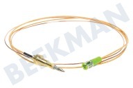 Smeg 948650135  Cable termo adecuado para entre otros PGF95F-1, SNL95XG, AKM480IX 750 mm adecuado para entre otros PGF95F-1, SNL95XG, AKM480IX