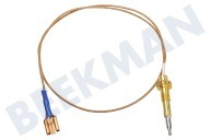 Smeg 948650101  Cable termo adecuado para entre otros SUK92MFX, SX81VGMA, SX91VJM 450 mm adecuado para entre otros SUK92MFX, SX81VGMA, SX91VJM