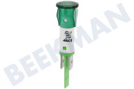 Smeg 824610596  Luz indicadora verde adecuado para entre otros ALFA43F, RFT845