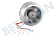 Novy 6830083  motor adecuado para entre otros D7559991, D7459991