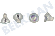 Novy 7401030  Lámpara adecuado para entre otros D810, D821, D7401 Línea plana Bombilla GU4 de 20 vatios y 12 voltios, juego de 4 adecuado para entre otros D810, D821, D7401 Línea plana