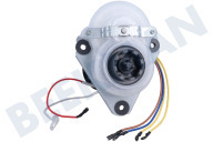 Kenwood AS00002787  Motor adecuado para entre otros FDM71900SS, FDM71450SS completamente adecuado para entre otros FDM71900SS, FDM71450SS