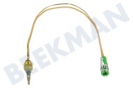 Dometic 407144390 Placa Cable termo adecuado para entre otros PICE12, CE12ZFRAL, KSK2007DF Longitud 25cm adecuado para entre otros PICE12, CE12ZFRAL, KSK2007DF