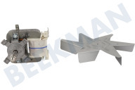 Inventum 30601000080 Horno-Microondas Motor del ventilador adecuado para entre otros GV010, VFG5008BLANCO