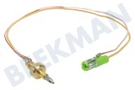 Inventum 30601000069  Cable termo adecuado para entre otros VFG6034WGRVS01, VFG6020GWIT01 300 mm. Quemadores detrás adecuado para entre otros VFG6034WGRVS01, VFG6020GWIT01