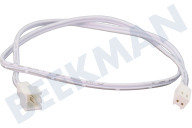 Inventum 40601000100 Campana extractora Iluminación del mazo de cables adecuado para entre otros AKB9015ZWA/01