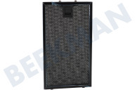 Faber 133.0298.439  Filtro adecuado para entre otros Eko XS EG6 BK A55  Filtro de grasa, metal, 165x302 adecuado para entre otros Eko XS EG6 BK A55