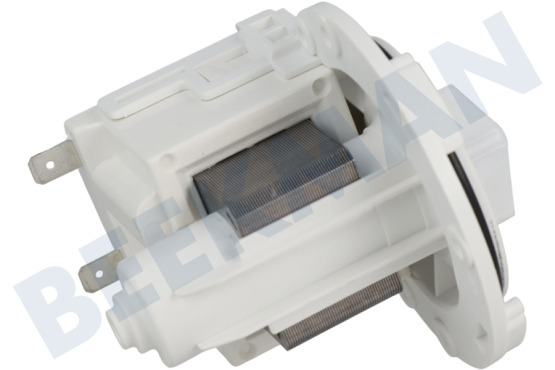 Rex Lavadora Bomba Bomba de drenaje Leili