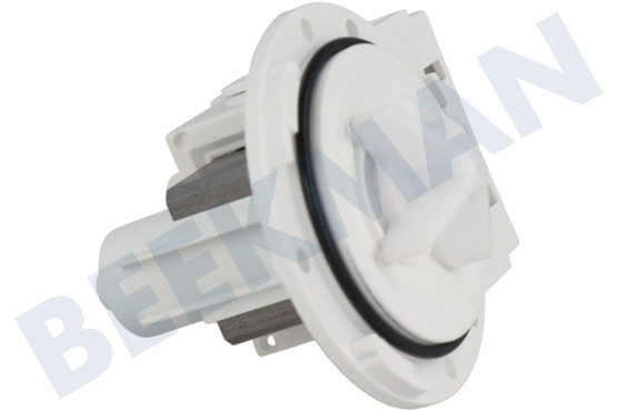 Rex Lavadora Bomba Bomba de drenaje Leili