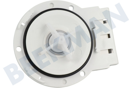 Rex Lavadora Bomba Bomba de drenaje Leili