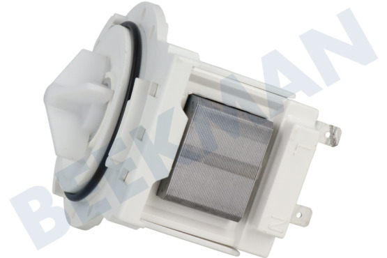 Rex Lavadora Bomba Bomba de drenaje Leili