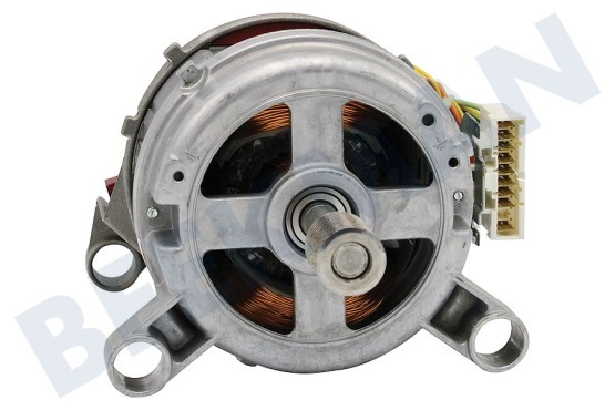 Protech Lavadora Motor completamente