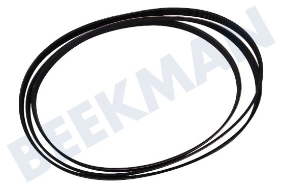 Hilton Secadora Correa poly-V 1970 PH H7